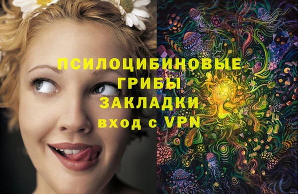 тгк Зеленодольск