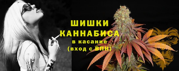 тгк Зеленодольск