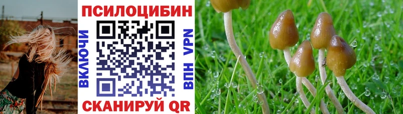 Псилоцибиновые грибы ЛСД  ссылка на мегу маркетплейс  Новый Уренгой  цена  