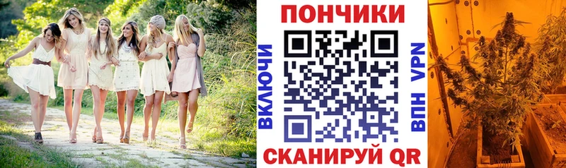 Бошки марихуана конопля  Новый Уренгой 